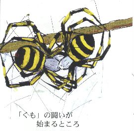 クモ合戦規則