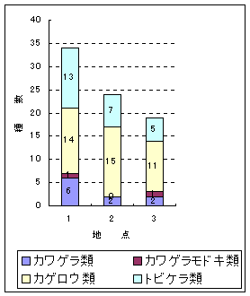 graph-1989