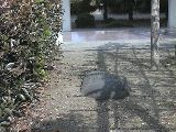 掃除あと